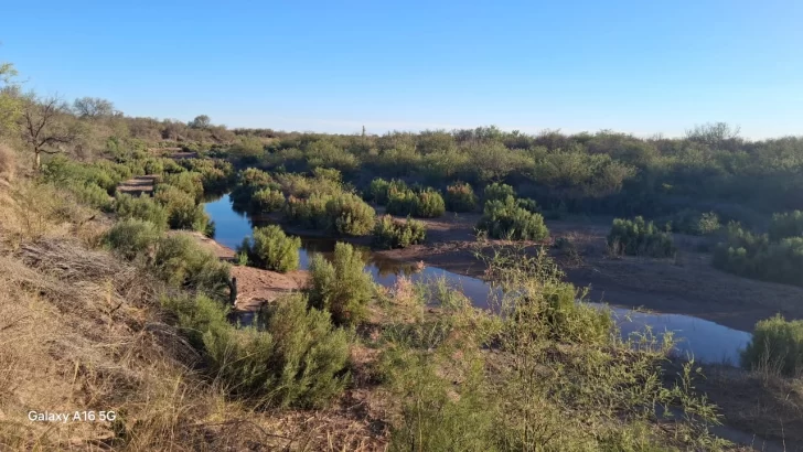 Guanacache-2-728x410 Guanacache-2-728x410