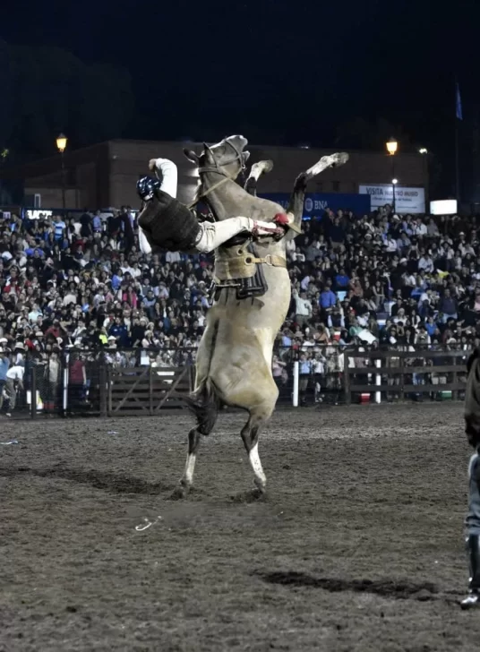 MONTA-CABALLO-536x728