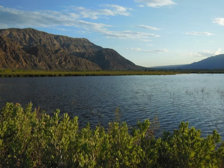 Los humedales sanjuaninos Los humedales sanjuaninos