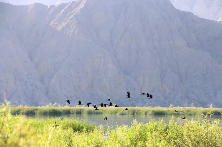 Parque-Sarmiento-3-728x485 Parque-Sarmiento-3-728x485