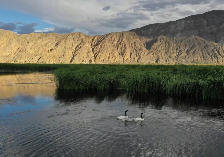 Parque-Sarmiento-4-728x509 Parque-Sarmiento-4-728x509