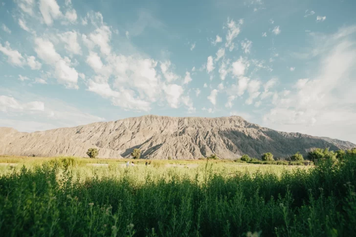 Parque-Sarmiento-6-728x486 Parque-Sarmiento-6-728x486