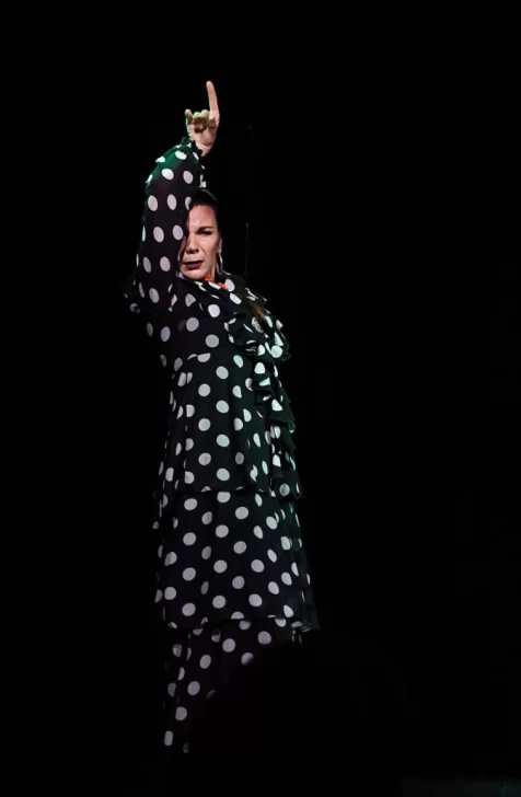 RAPINI-DANZA-476x728