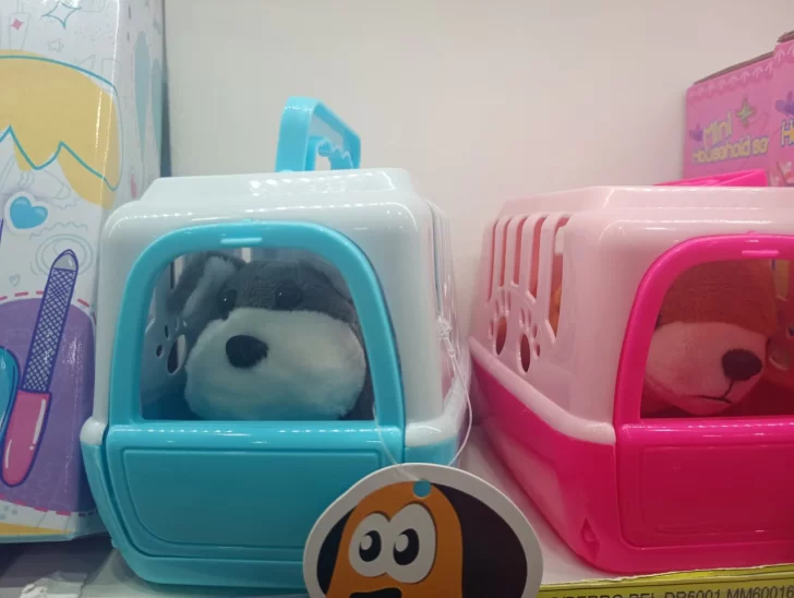 WhatsApp-Image-2026-01-02-at-14.52.14-728x548 juguete 4