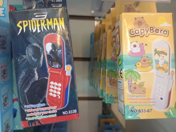 WhatsApp-Image-2026-01-02-at-14.52.31-728x548 juguete14