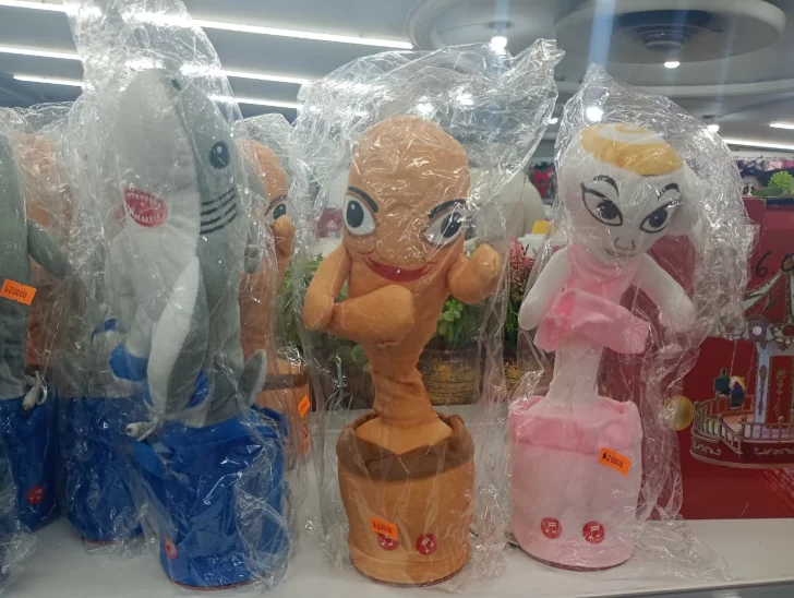 WhatsApp-Image-2026-01-02-at-14.52.40-728x548 juguete 9