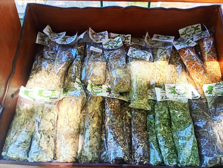 emprendimiento gladys 1