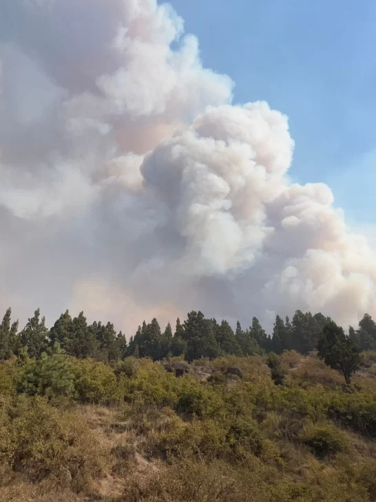 WhatsApp-Image-2026-01-26-at-09.42.46-546x728 bomberos en chubut 2
