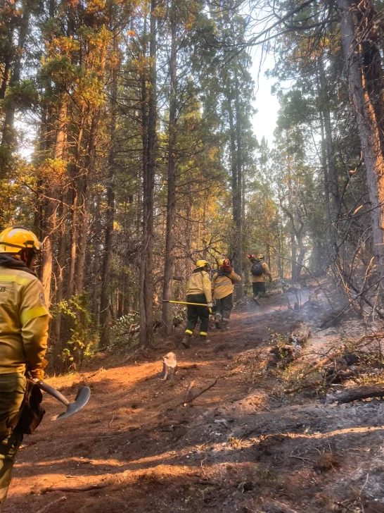 WhatsApp-Image-2026-01-26-at-09.42.47-1-546x728 bomberos en chubut 3