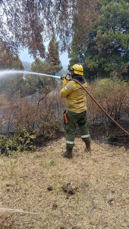 WhatsApp-Image-2026-01-27-at-22.48.17-1-410x728 bomberos san juan en chubut 28/01 2