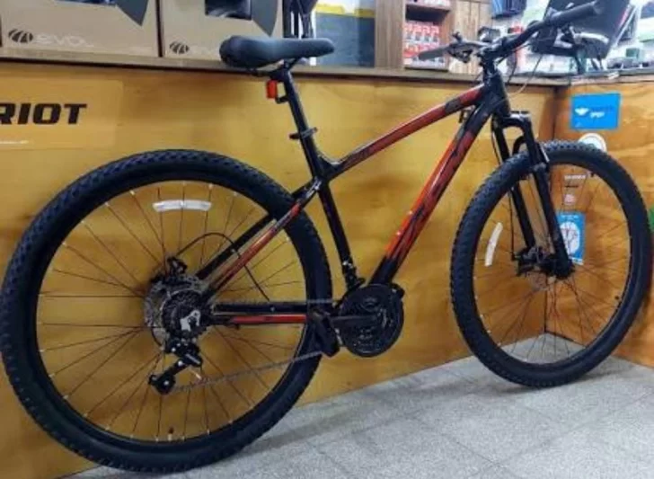 Detuvieron a un joven por robar una bicicleta en la Feria de Capital Detuvieron a un joven por robar una bicicleta en la Feria de Capital
