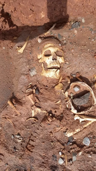 calavera-31-01-261-410x728