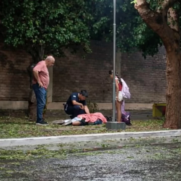 cecilia-roman-31-01-261-728x728