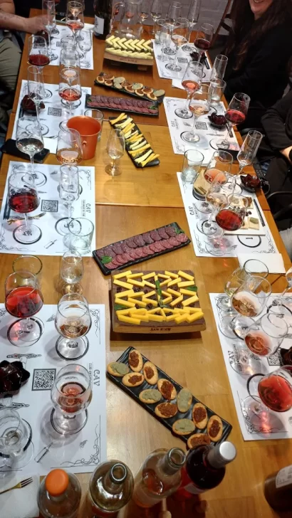 club-amigos-del-vino-1-410x728