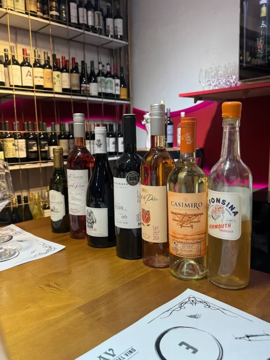 club-amigos-del-vino-3-546x728