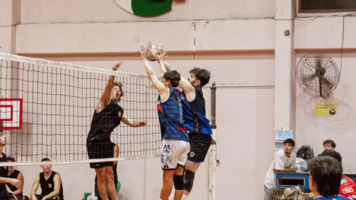 fede-728x409 fede-728x409