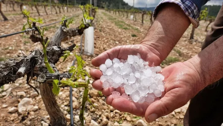 Por caída de granizo, Producción activó el protocolo de ayuda en Sarmiento, Pocito y Jáchal Por caída de granizo, Producción activó el protocolo de ayuda en Sarmiento, Pocito y Jáchal
