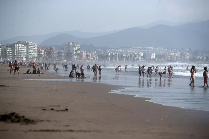 laserena-3101-c-728x485