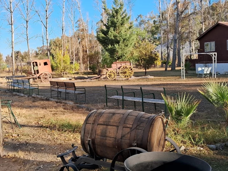 manzini-728x546 manzini-728x546