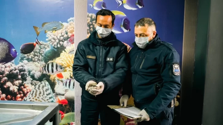 poli-ecolog-2-728x410