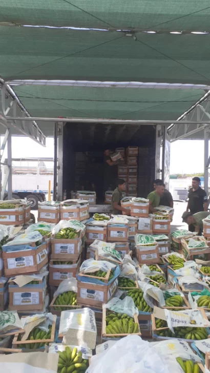 procedimiento_de_mas_de_63_kilos_de_cocaina_-_transportados_en_un_camion_y_secuestrado_dentro_de_un_inmueble_3-410x728