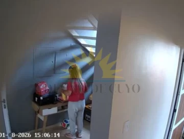 Sospechaba que su empleada le robaba y colocó cámaras de seguridad: todos los videos de cómo actuaba Sospechaba que su empleada le robaba y colocó cámaras de seguridad: todos los videos de cómo actuaba