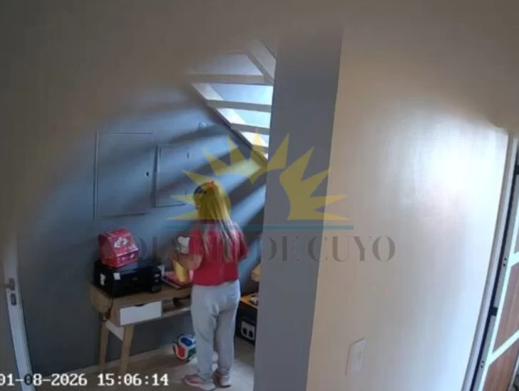 Sospechaba que su empleada le robaba y colocó cámaras de seguridad: todos los videos de cómo actuaba Sospechaba que su empleada le robaba y colocó cámaras de seguridad: todos los videos de cómo actuaba