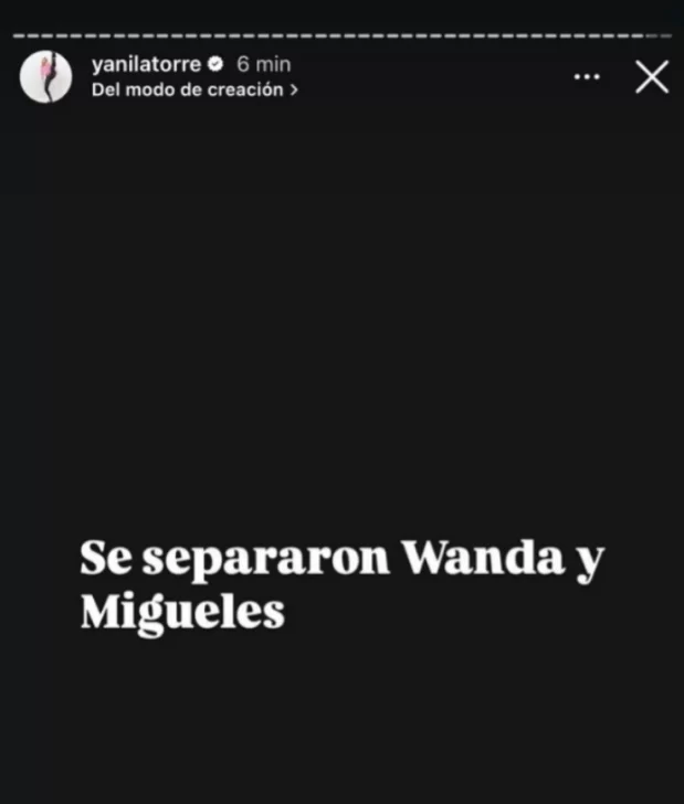 yanina-separacion-wanda-nara-619x728