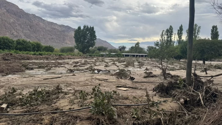 Tormenta e inundación en fincas de Zonda: hablan de un “evento climático de magnitud” y en Producción buscar determinar los daños en cultivos Tormenta e inundación en fincas de Zonda: hablan de un “evento climático de magnitud” y en Producción buscar determinar los daños en cultivos
