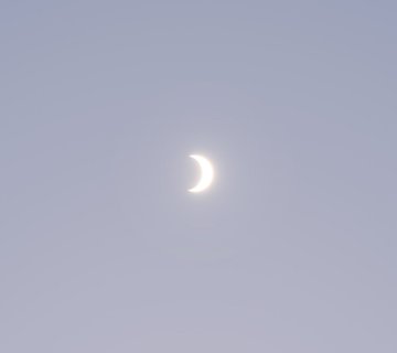 El primer eclipse solar del año: así se vio el “anillo de fuego” desde el fin del mundo El primer eclipse solar del año: así se vio el “anillo de fuego” desde el fin del mundo