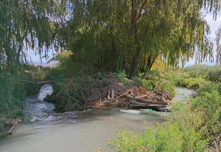 Obras-para-sistema-de-riego-en-Calingasta-3-728x501