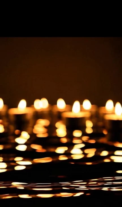 PHOTO-2026-02-05-17-25-46-431x728