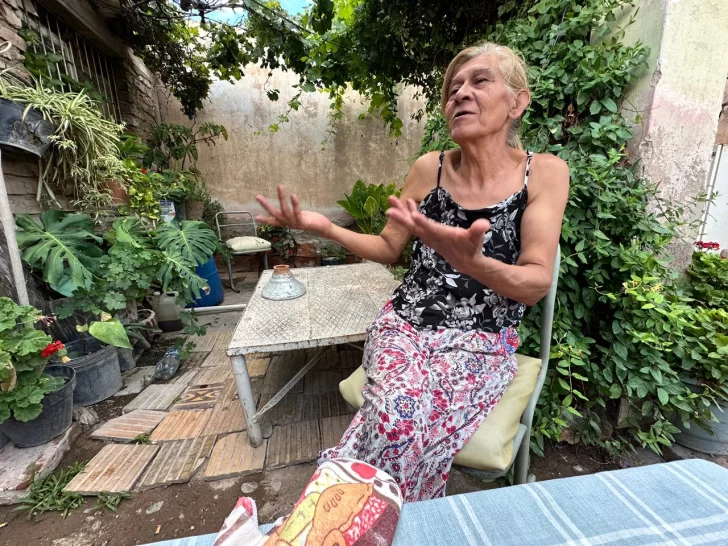 WhatsApp-Image-2026-02-13-at-12.53.27-728x546 Irma 2