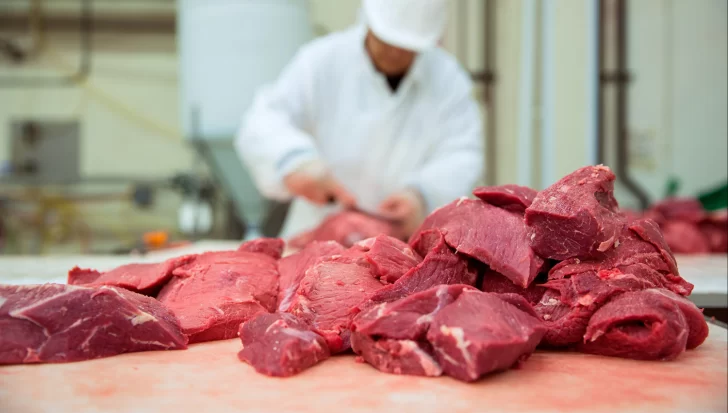 El precio de la carne, sin techo: factores que impulsan la suba El precio de la carne, sin techo: factores que impulsan la suba