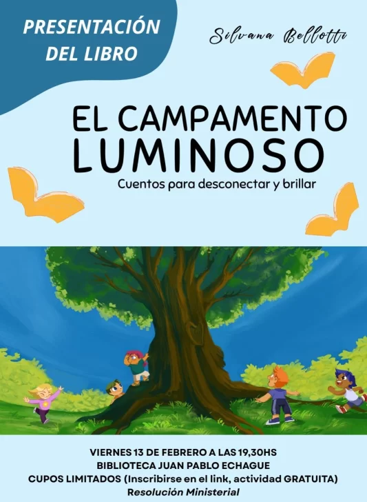 libro-presentacion-533x728