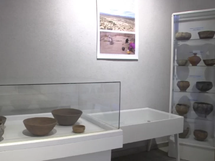 museo-gambier-728x546