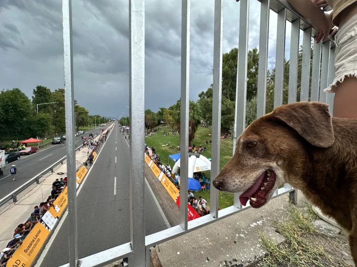 vuelta-41-san-juan-ciclismo-2026-9-728x546