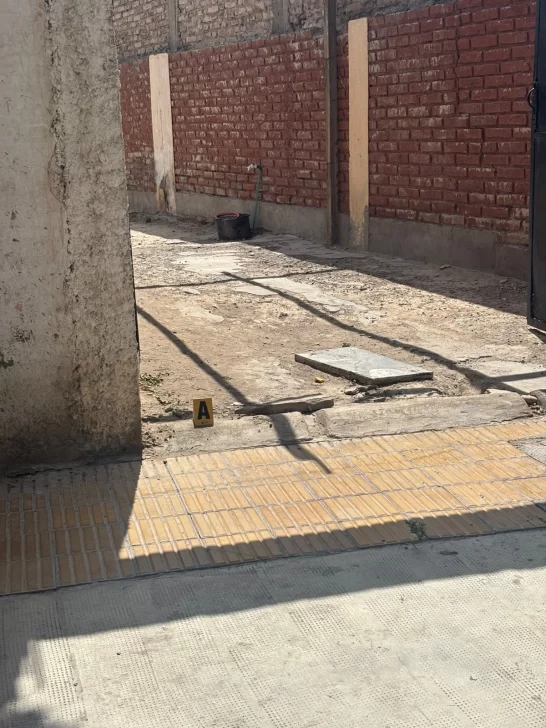 zabala-200226-546x728