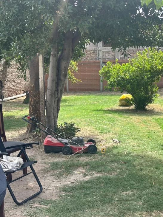 zabala-2002261-546x728