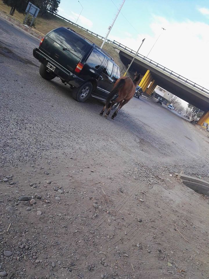 FBMD01000aab03000049260000de6e0000247100001f74000064e50000ba890100de910100ec980100b0a0010030a60200