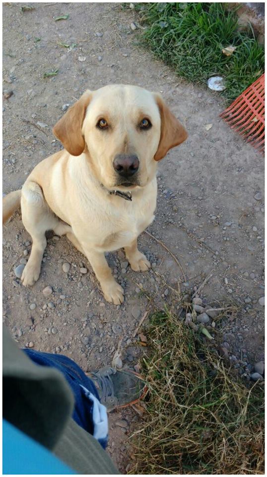 FBMD01000aa8030000872100008c560000b15a0000205f00008c8f00004def00007ff5000078fe0000e5070100bda20100