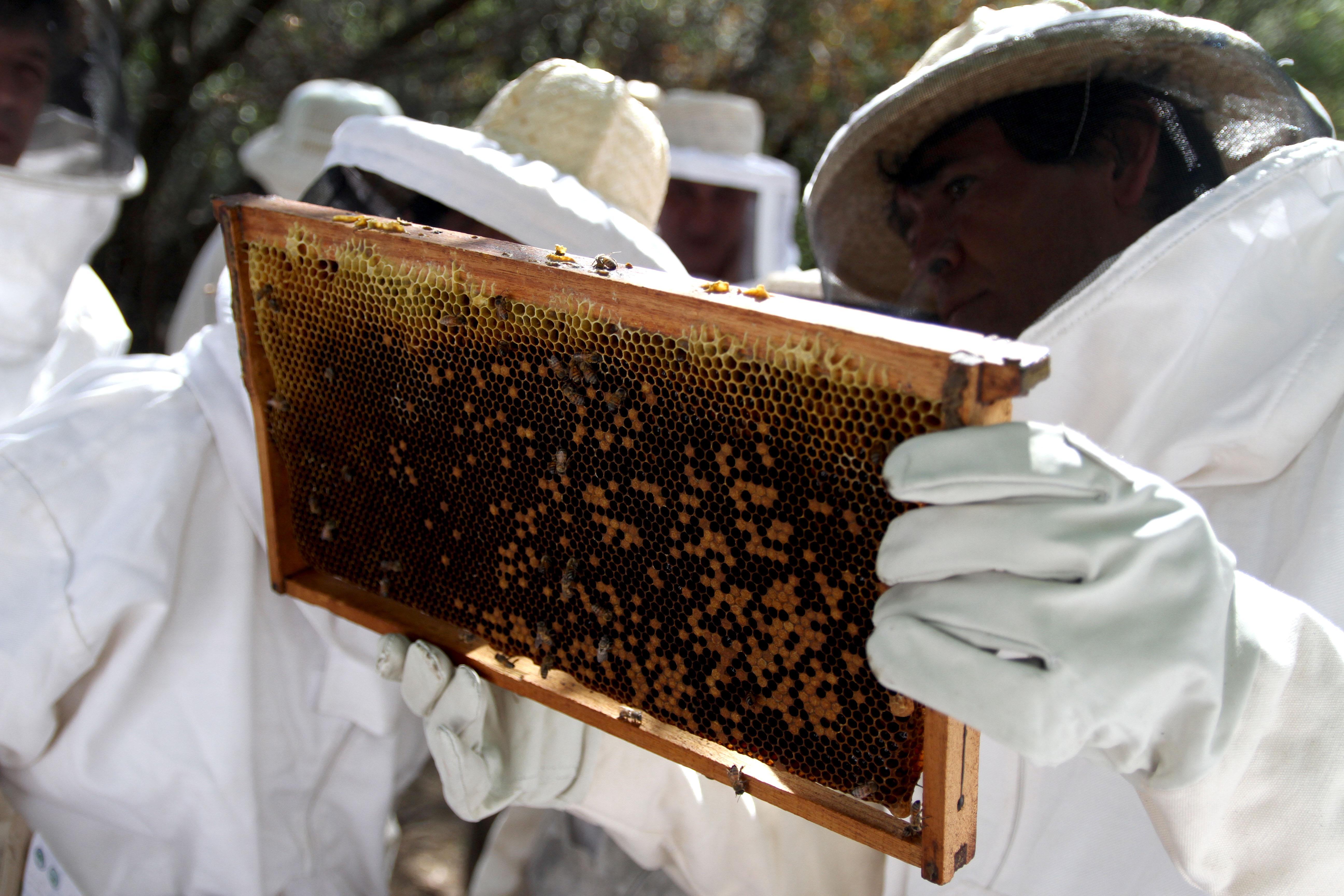 San Fernando del Valle de Catamarca, Capacitacion a apicultores.28,29 y 30 de octubre del 2013.