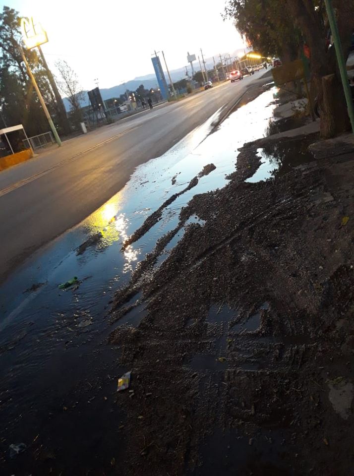 FBMD01000aa803000066220000c14f0000a452000023560000757c000014db000037e30000b7e9000076f0000078920100 FBMD01000aa803000066220000c14f0000a452000023560000757c000014db000037e30000b7e9000076f0000078920100