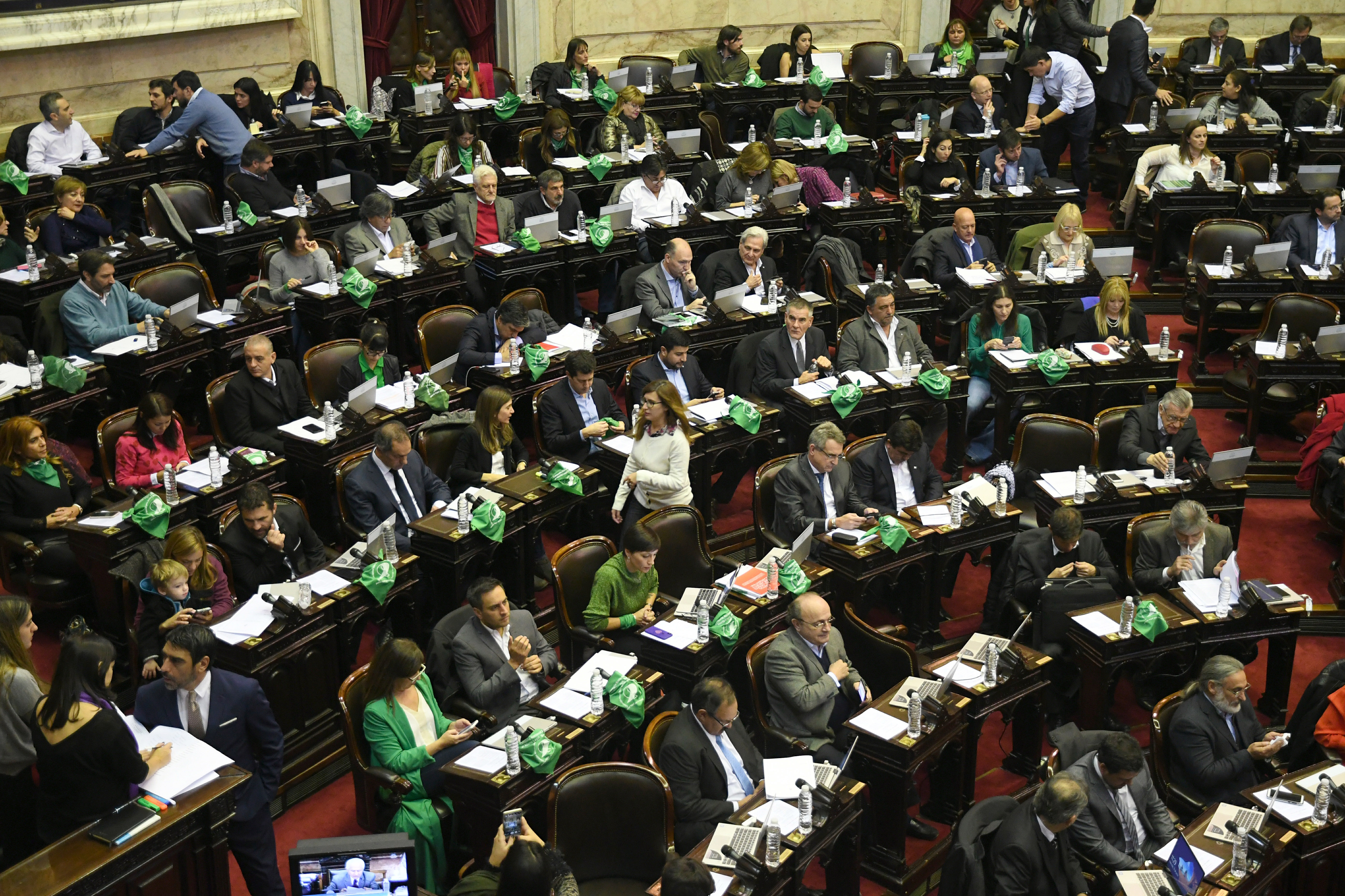 Télam 13/06/2018   Buenos Aires: Comenzó en la cámara de diputados la despenalización del aborto.Foto: Fanton