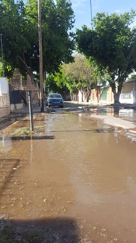 FBMD01000aa8030000361a000059410000a3430000b7480000737600006bc300005fc80000b7cd000047d500007b580100