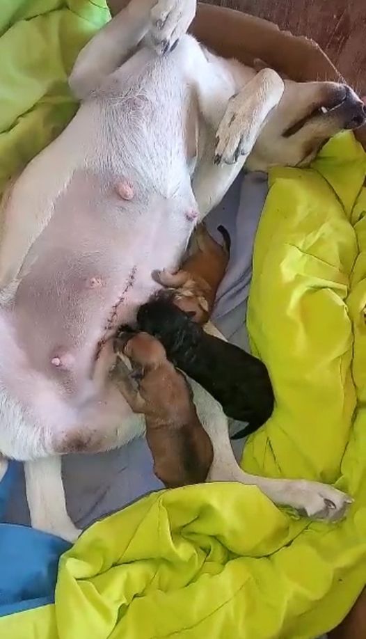 FBMD0a000a70010000391d0000b03f0000d441000084460000fb570000d7890000a78f00004e940000bf9a0000c7f10000